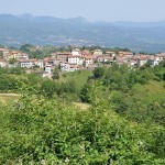 sassi